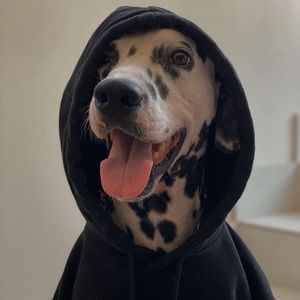 Meet your Posher, Gracie